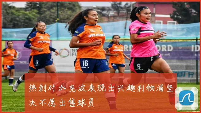 热刺对加克波表现出兴趣利物浦坚决不愿出售球员