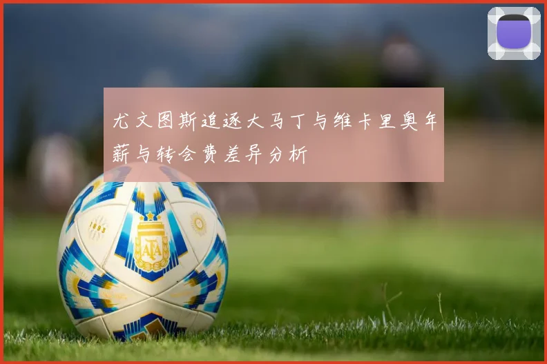 尤文图斯追逐大马丁与维卡里奥年薪与转会费差异分析